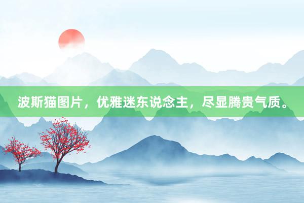波斯猫图片，优雅迷东说念主，尽显腾贵气质。
