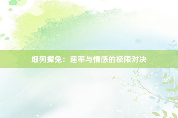 细狗撵兔：速率与情感的极限对决