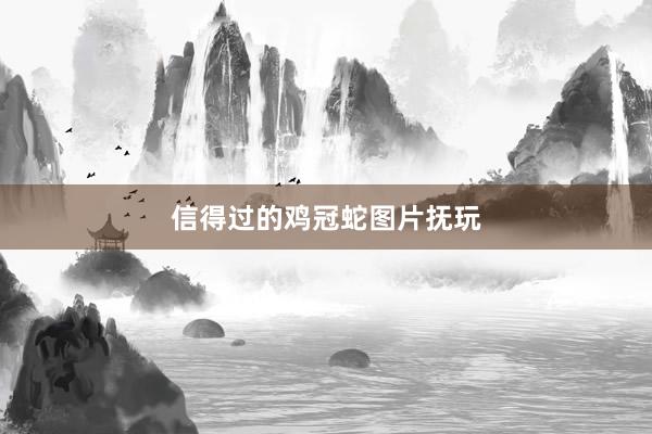 信得过的鸡冠蛇图片抚玩