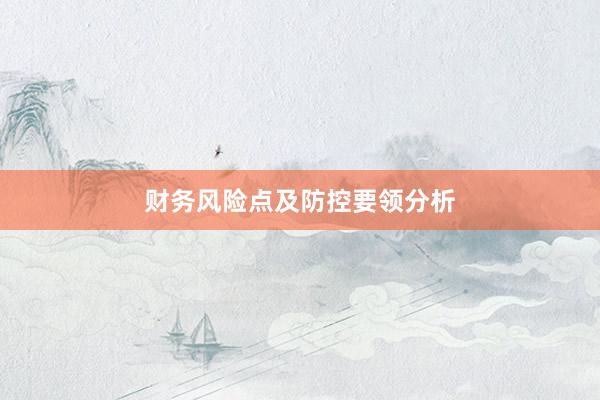 财务风险点及防控要领分析