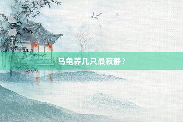 乌龟养几只最寂静？